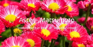 aster 01