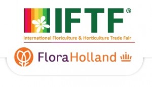 IFTF FloraHolland