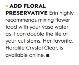 erin recommends floralife