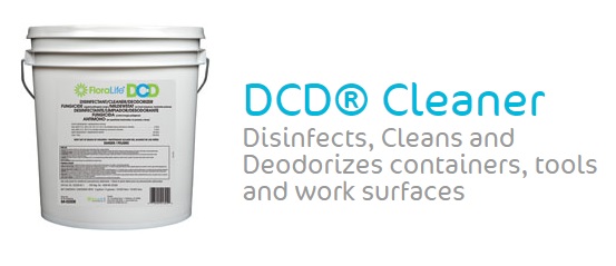 sanitation with DCD cleaner