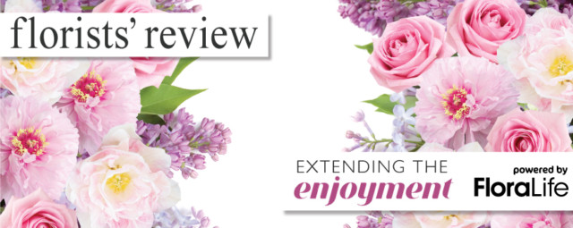 Extending Enjoyment - Flower Care