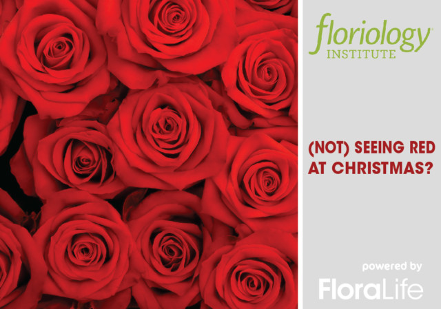 Floriology, FloraLife - Roses in december