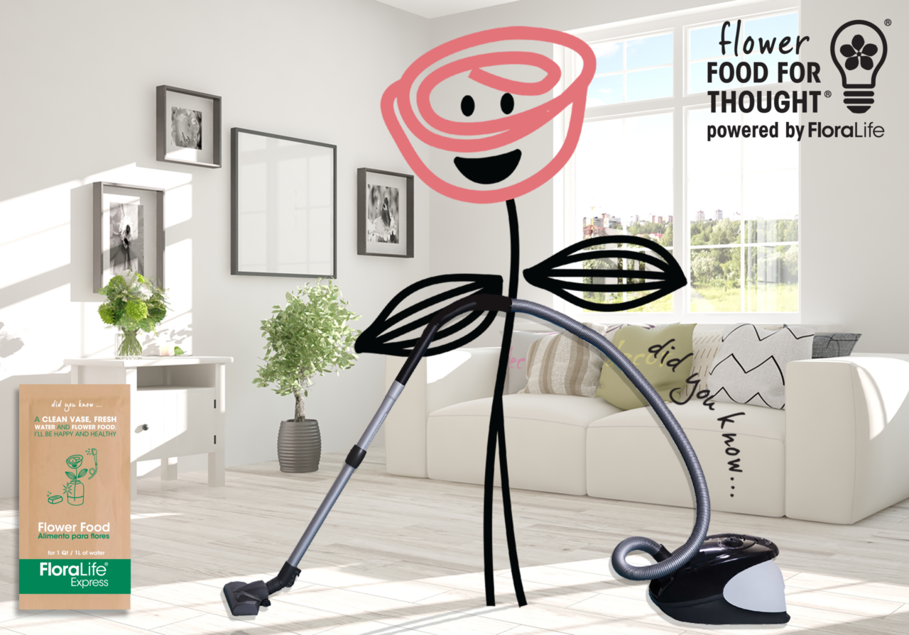 Flower vacuuming living room_Express Packet_2560X1790