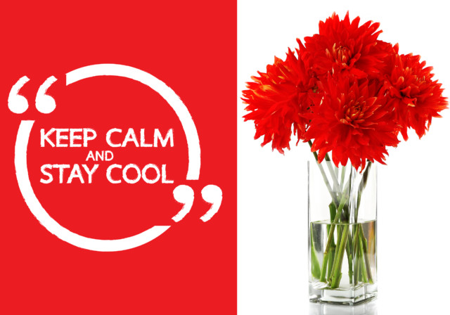 Keep Calm and Stay Cool!
