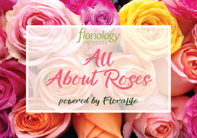 FloraLife All About Roses