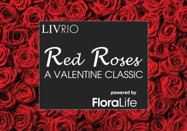 FloraLife Red Roses LivRio