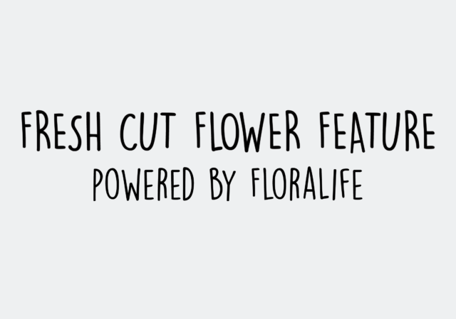 FloraLife FRESH CUT FLOWER FEATURE