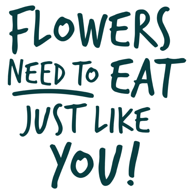 Flowers Need to Eat Just Like You