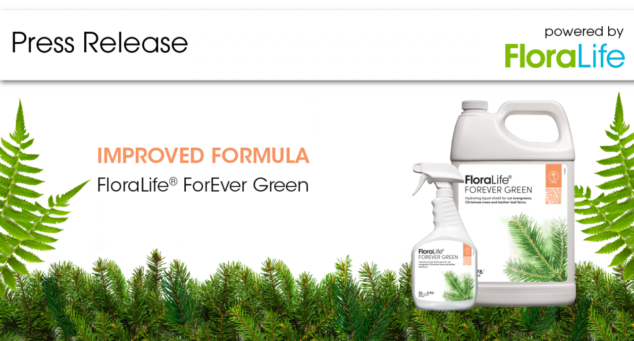 Press Release: New, Improved FloraLife® ForEver Green Solution and Spray Safely Adds Moisture to Evergreens, Reduces Needle Drop and Preserves Green Color 
