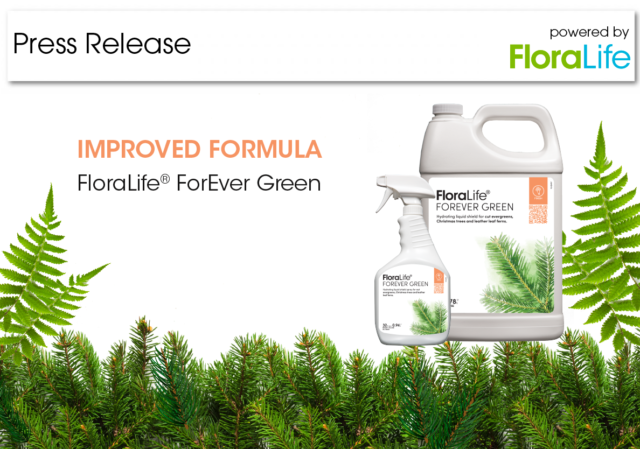 New, Improved FloraLife® ForEver Green Solution and Spray Safely Adds Moisture to Evergreens, Reduces Needle Drop and Preserves Green Color