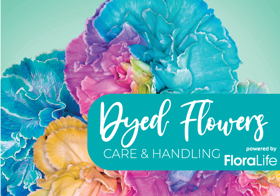 Cut Flower Care and Handling: Iris - FloraLife
