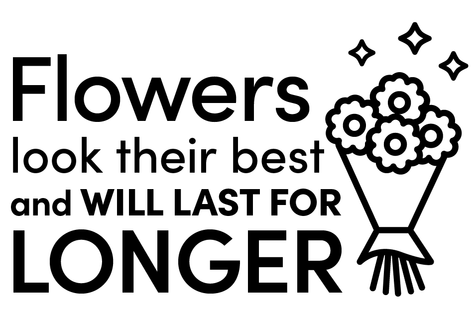 Spot-The-Difference_flowersLonger Spot-The-Difference_flowersLonger