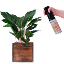 LeafShine Consumer Spraying